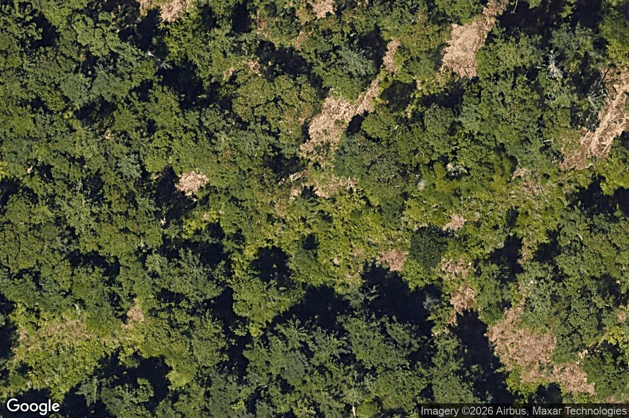 Aerial view of 640 Medalist Ave, Colwood
