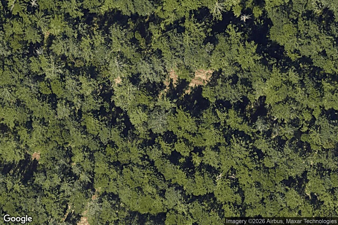 Aerial view of 838 Tomack Loop, Langford