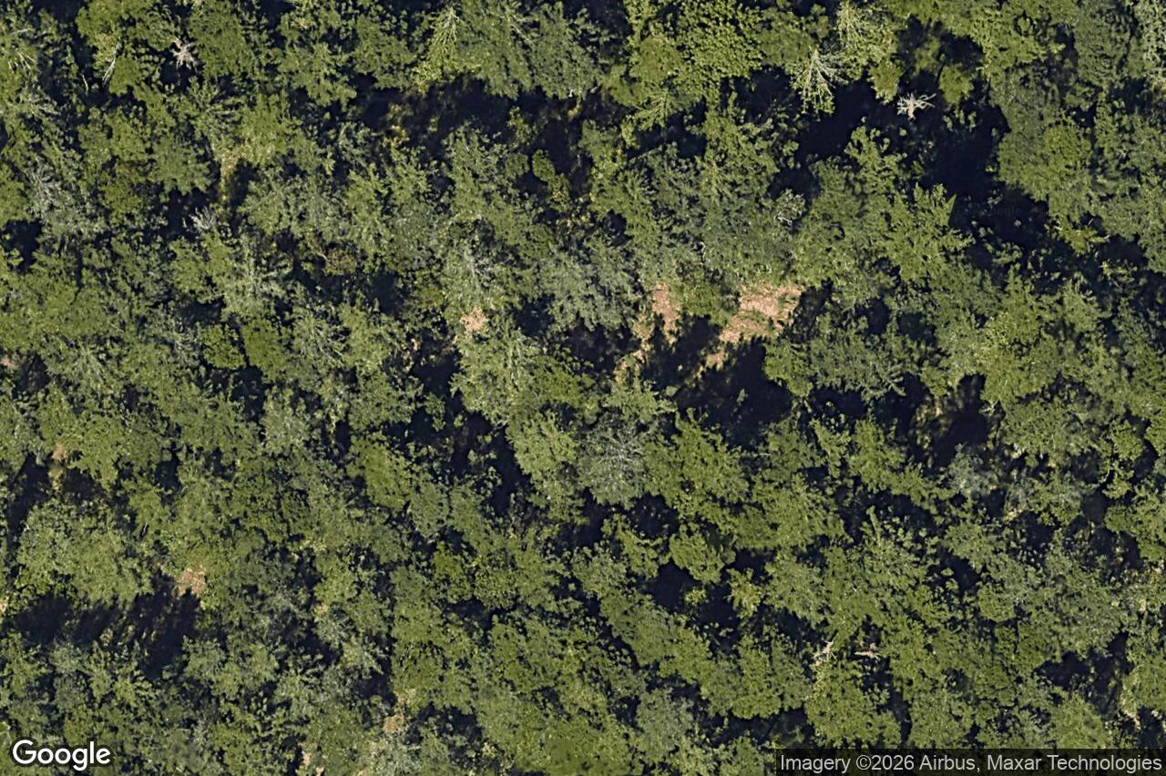 Aerial view of 854 Tomack Loop, Langford