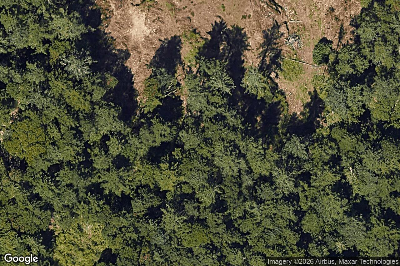 Aerial view of 3625 Autumn Lane, Langford