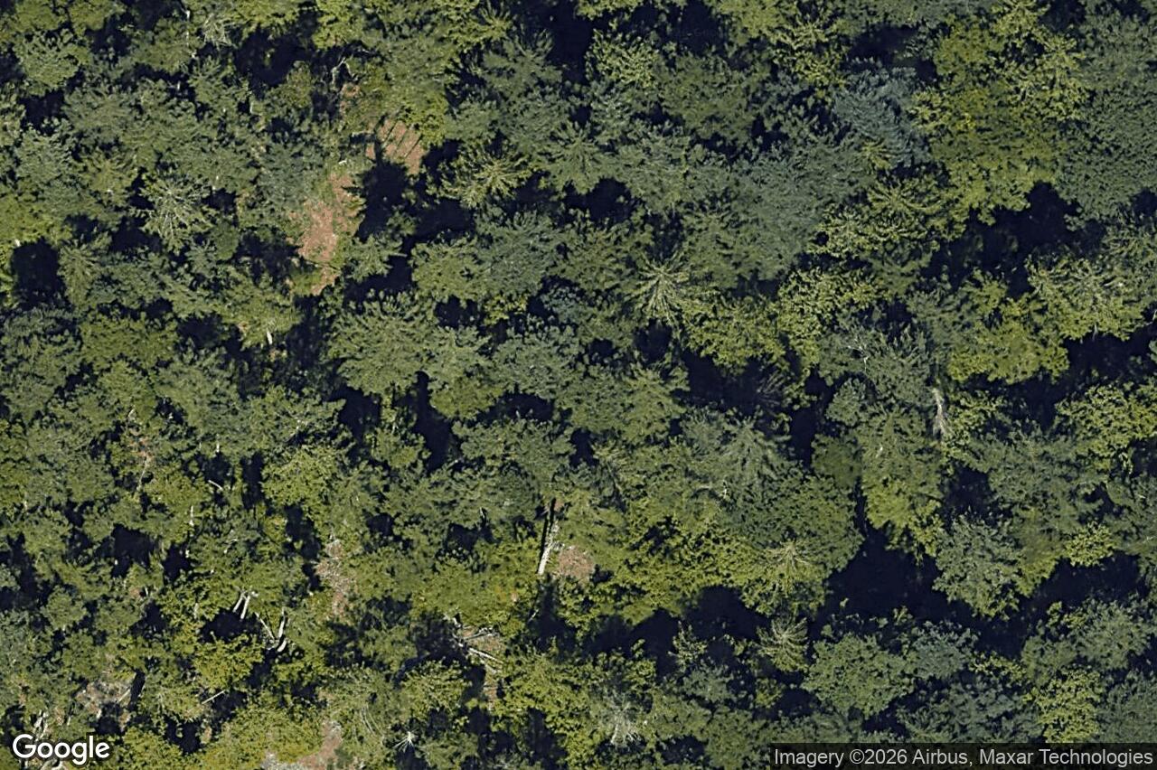 Aerial view of 2160 Bellflower Dr, Langford