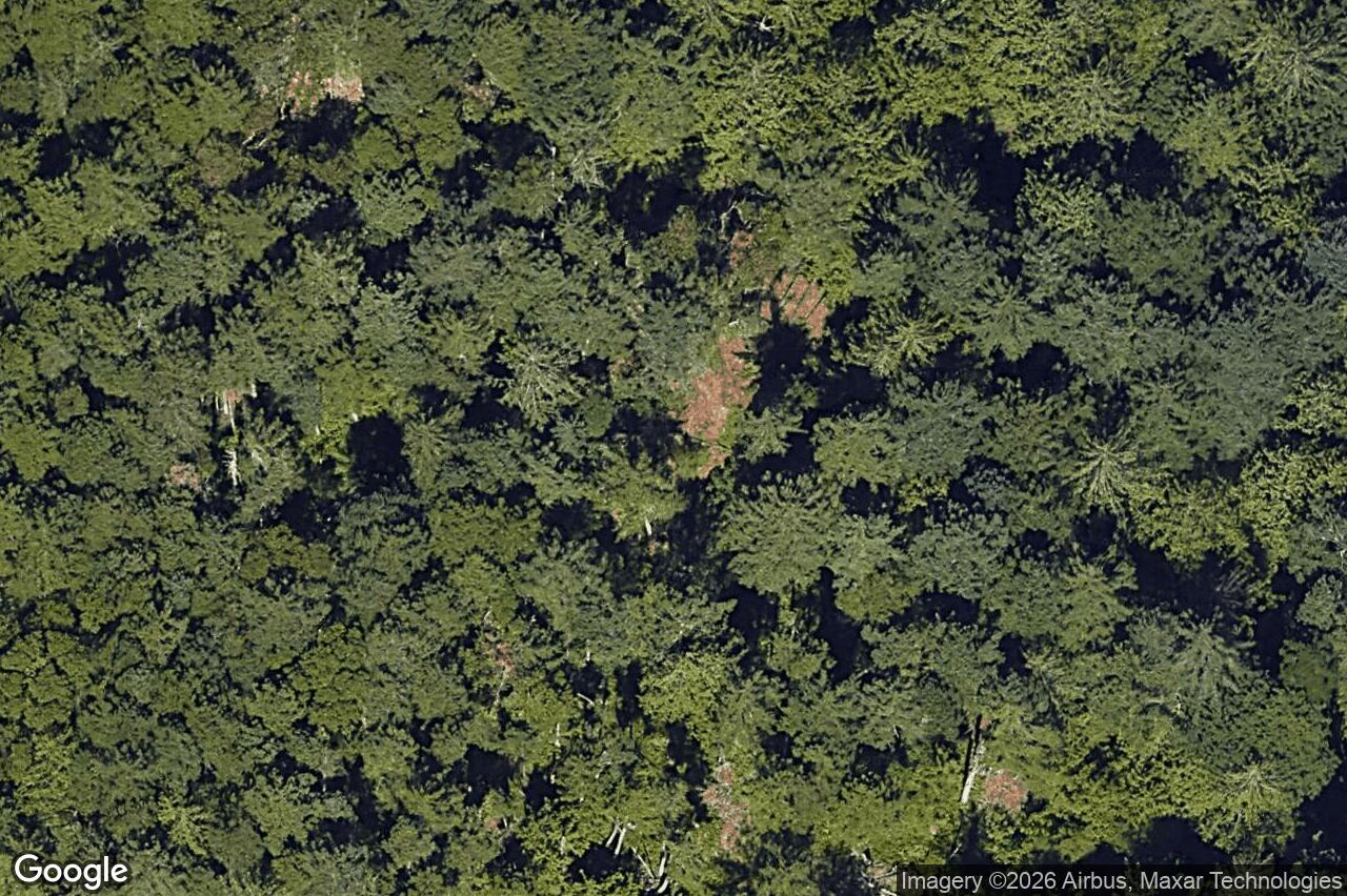 Aerial view of 2161 Bellflower Dr, Langford