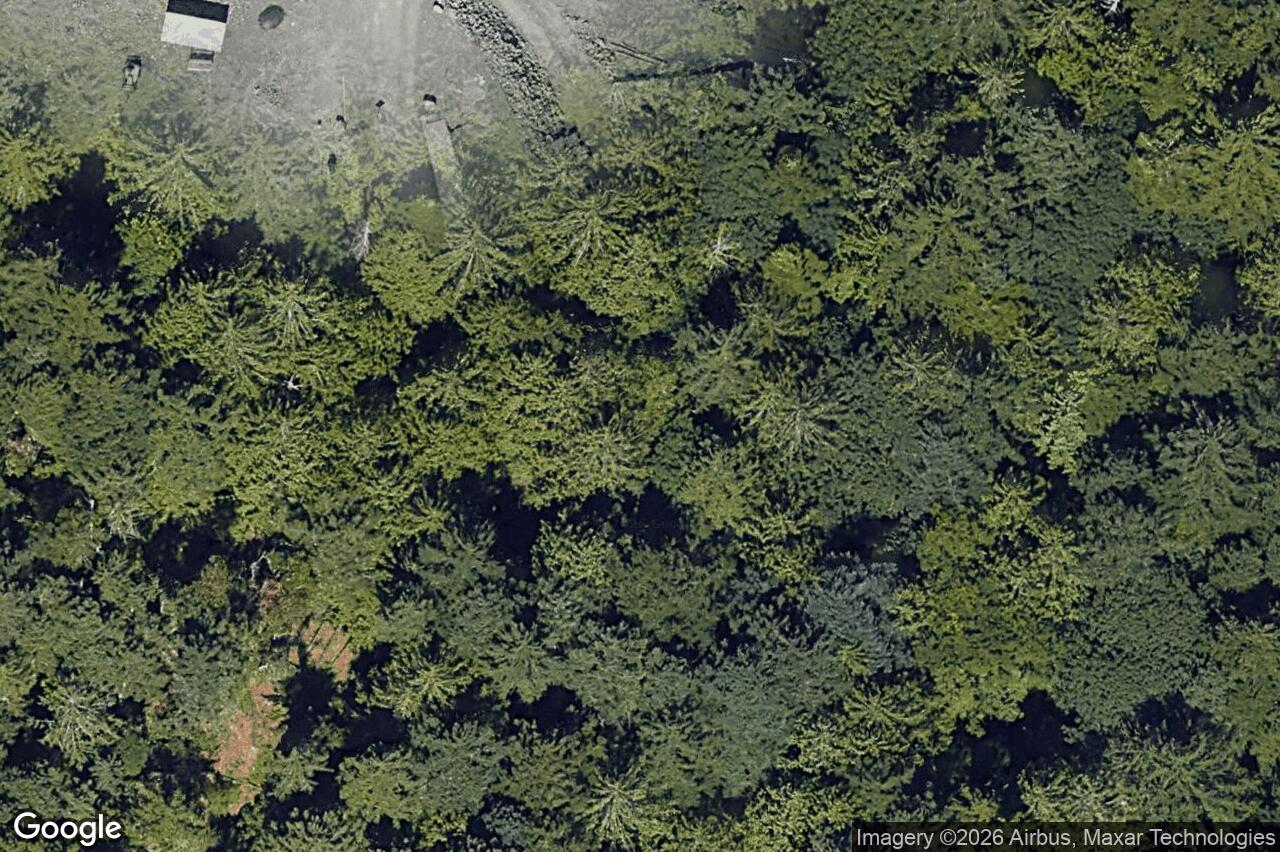 Aerial view of 2180 Bellflower Dr, Langford