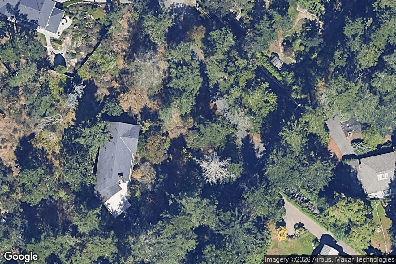 Aerial view of 3976 Tudor Ave, Saanich