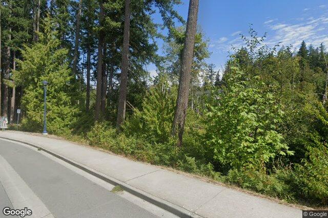 Street view of 1020 Braeburn Ave, Langford