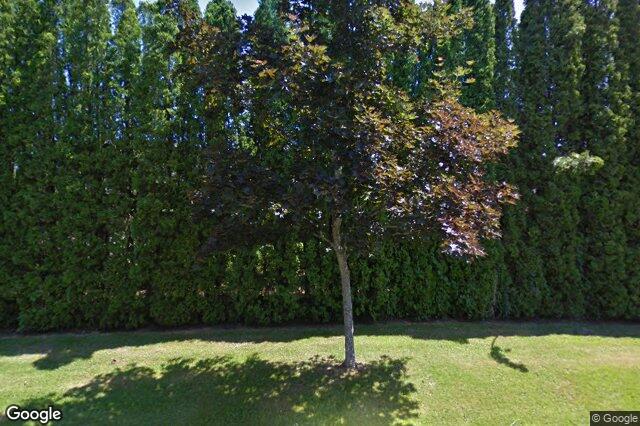 Street view of 159 – 2345 Cedar Hill Cross Rd, Oak Bay