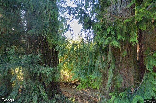 Street view of 83 – 2911 Sooke Lake Rd, Langford