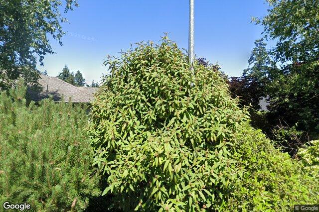 Street view of 1204 Knockan Pl, Saanich