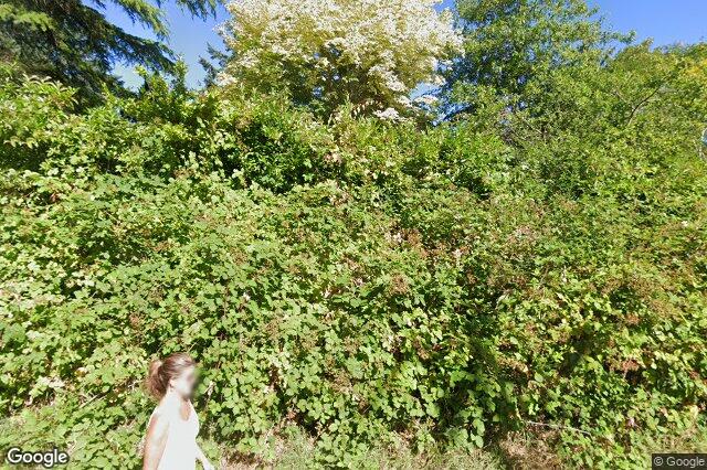 Street view of 1934 San Juan Ave, Saanich
