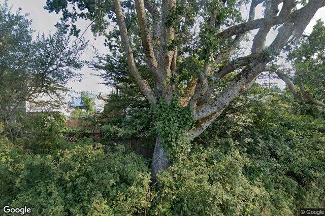 Street view of 1759 Mamich Cir, Saanich