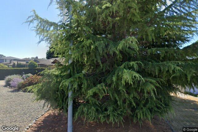 Street view of 4252 Panorama Dr, Saanich