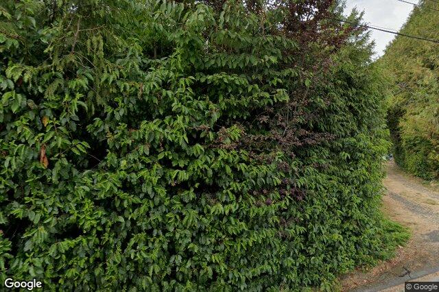 Street view of 4504 Pachena Pl, Saanich
