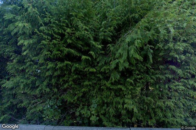 Street view of 1580 Lands End Rd, North Saanich