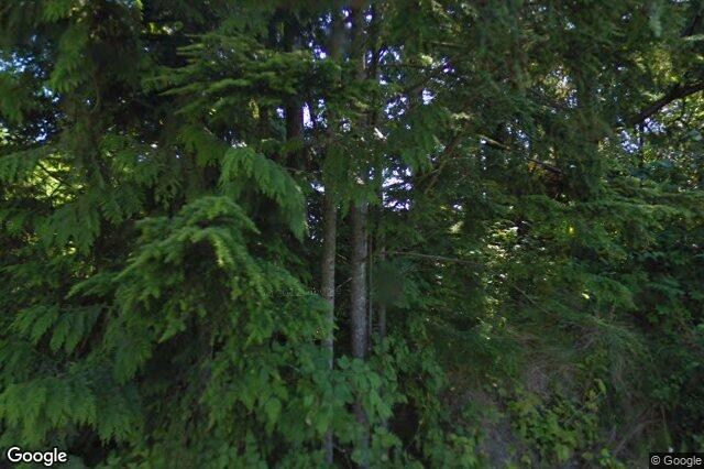 Street view of 950 Campbell St, Tofino
