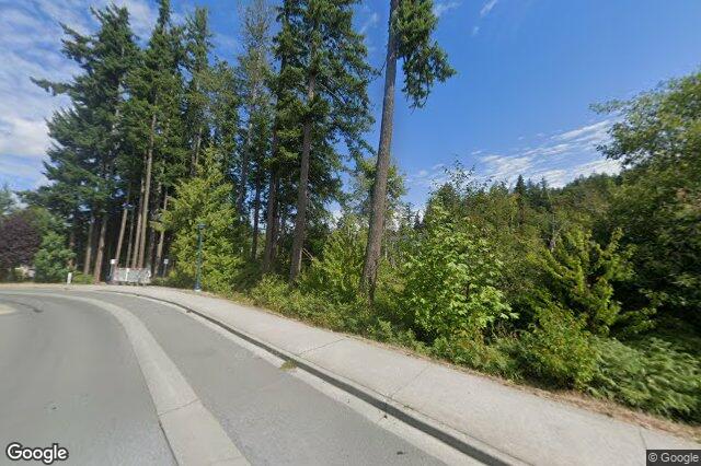 Street view of 1020 Braeburn Ave, Langford