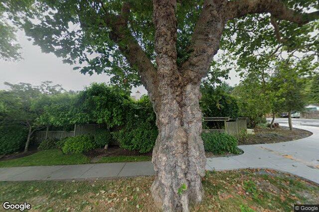 Street view of 7 – 2585 Sinclair Rd, Saanich