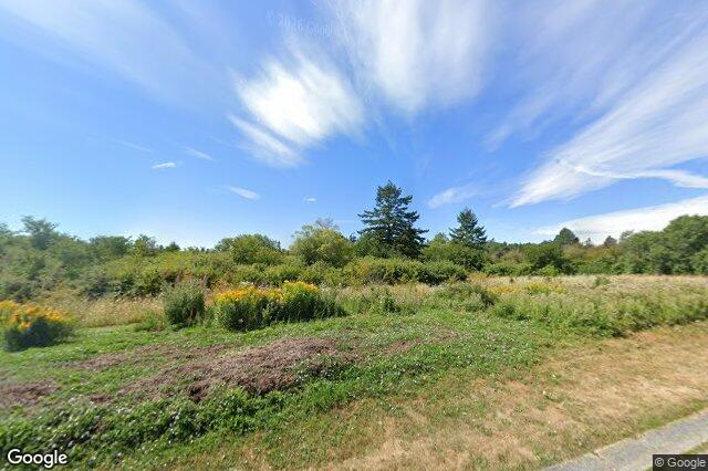 Street view of 3955 Nelthorpe St, Saanich